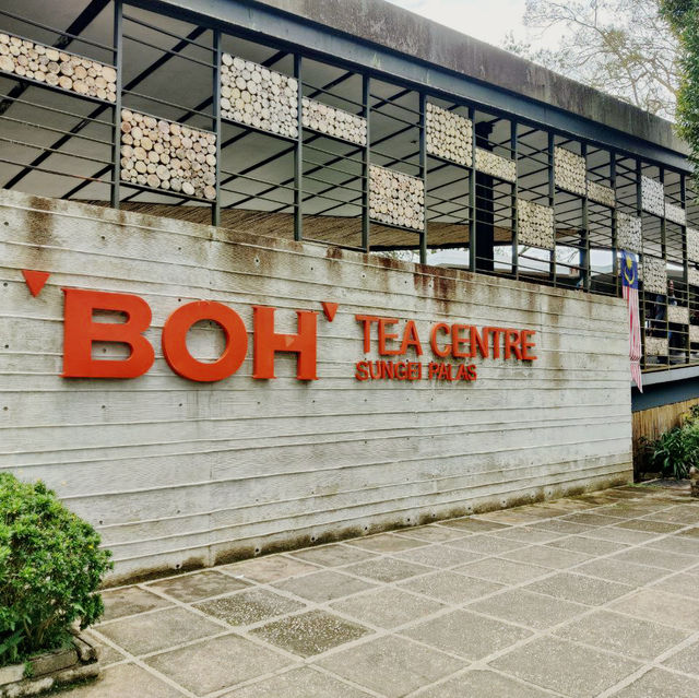 From Leaves to Brews: A Scenic Escape to BOH Tea Centre