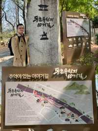 Spring Serenity: Walking Along Geumho River in Daegu