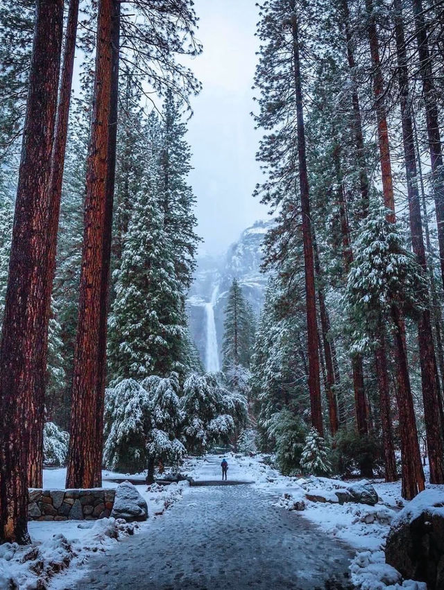 Yosemite National Park: A Snowy Christmas Wonderland