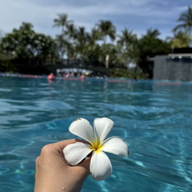 코타키나발루 샹그릴라 탄중아루 리조트 🌴