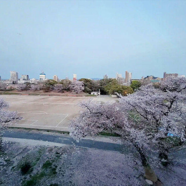 《探索福岡的綠洲——舞鶴公園之旅》