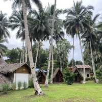 A peaceful jungle village hotel next to Loboc river 