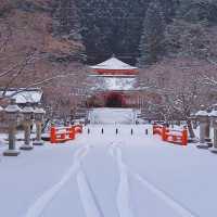 Koyasan #โคยะซัง 高野山 หน้าหนาว