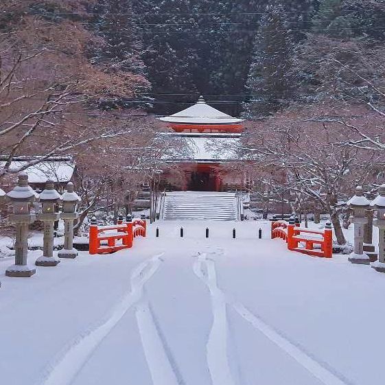 Koyasan #โคยะซัง 高野山 หน้าหนาว