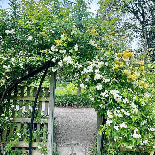 Serenity and Art Unite at Heide Gardens & Sculpture Park 🇦🇺