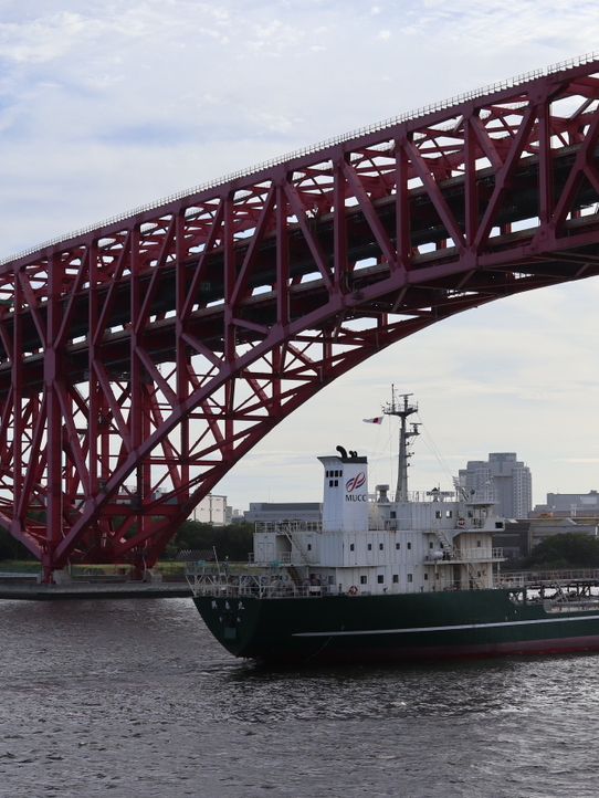 Experience Osaka’s Beauty from the Water on an Osaka Bay Boat Ride