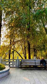 璧山秀湖公園探秘：免費4A級景區，一年四季花常開