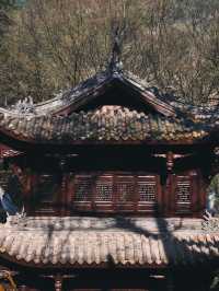 重慶旅遊｜峽谷深處的明代寺院和無邊溫泉公園