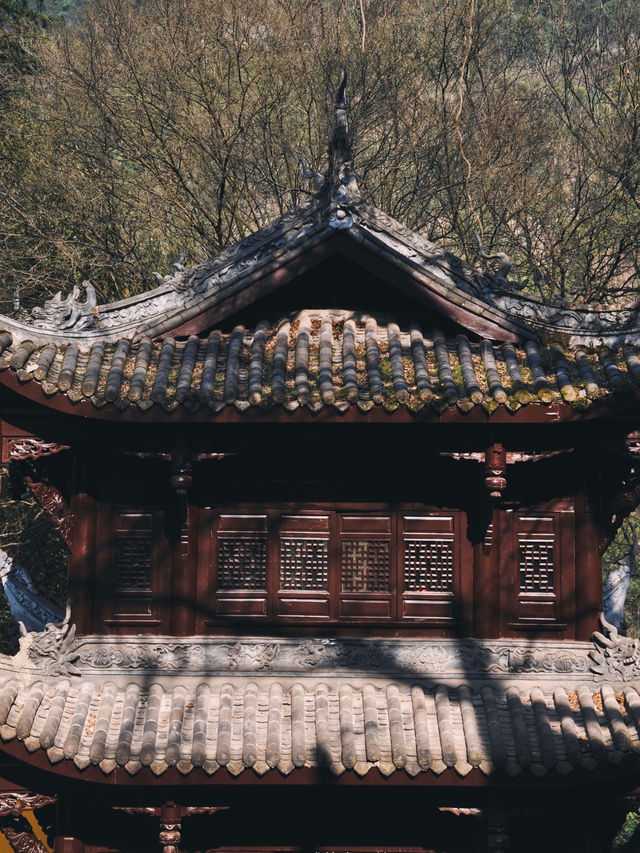 重慶旅遊｜峽谷深處的明代寺院和無邊溫泉公園