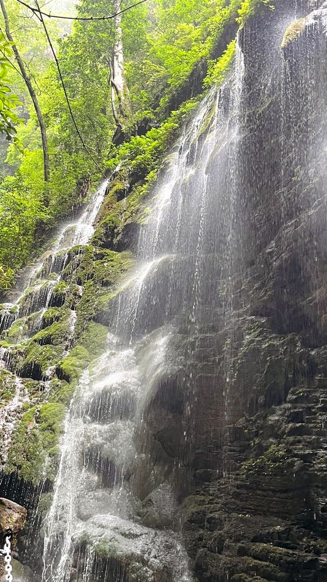 遊賞自然山水美景，見識無限奇景坐龍峽