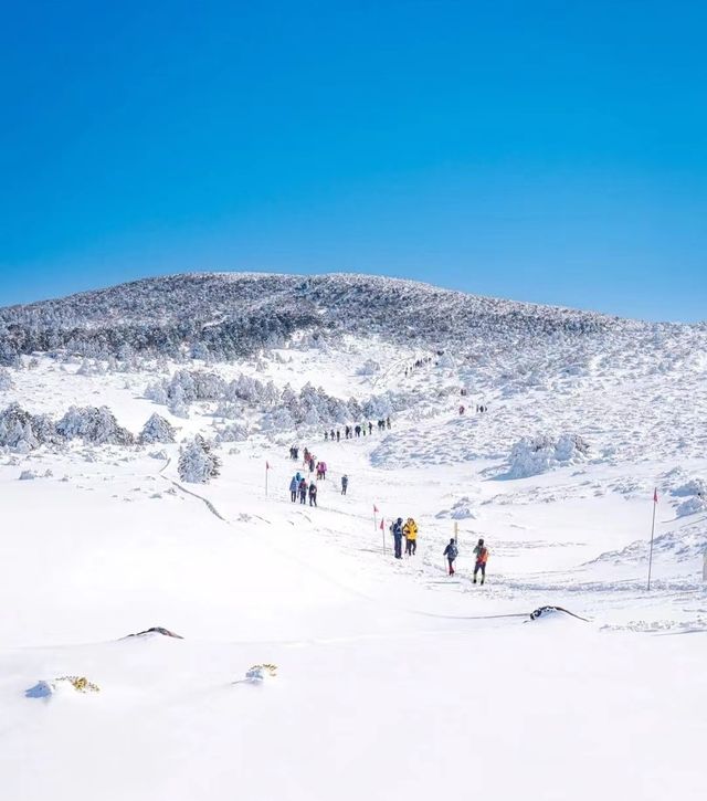 濟州島漢拿山登山徒步攻略 旅行搭子路線