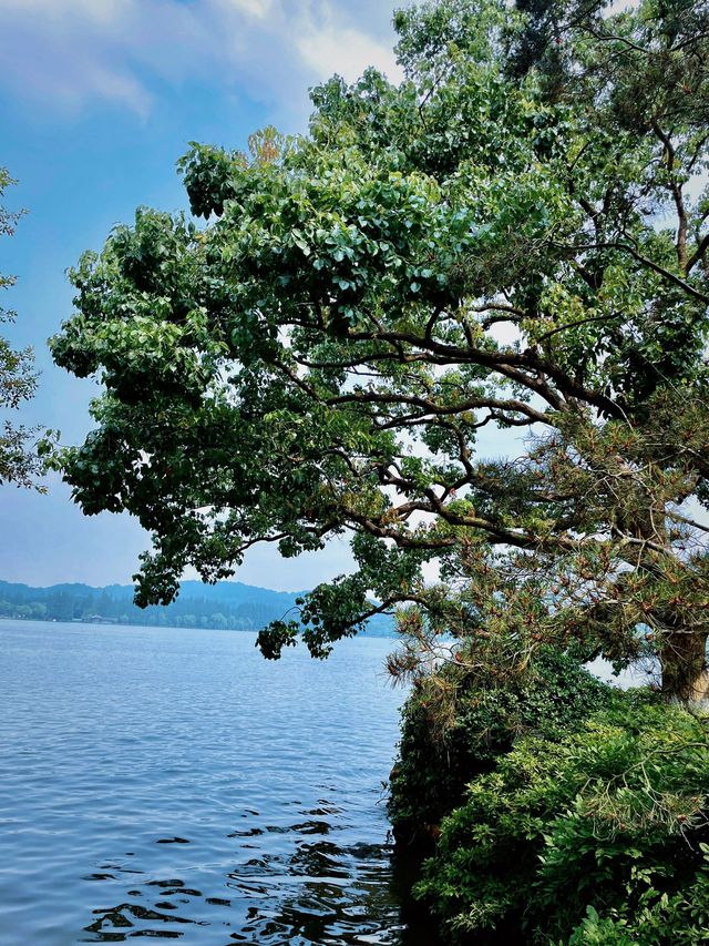 杭州2日遊 玩轉浪漫天堂