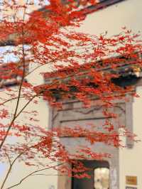 【西湖遺夢】杭州郭莊，探訪西湖邊的古典園林