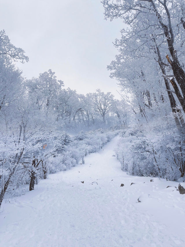 江浙滬初雪，徒步天堂的冰雪奇緣