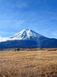 小長假去日本超美旅行攻略來啦