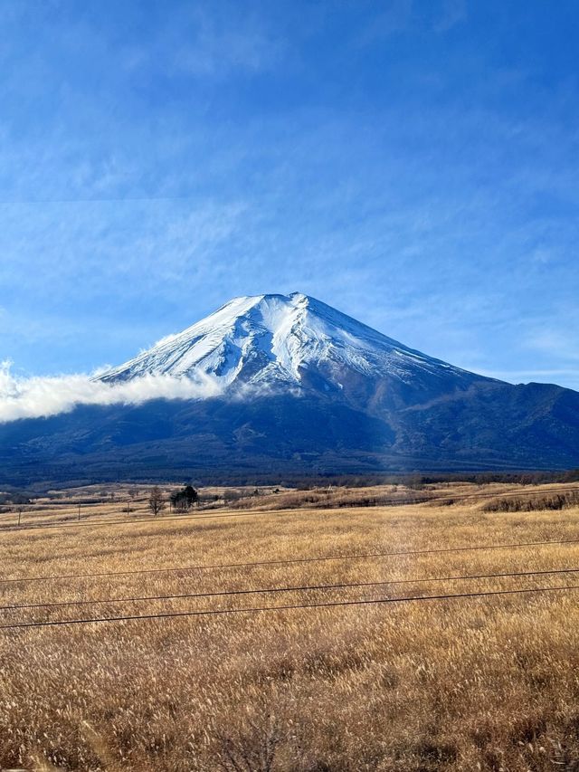 小長假去日本超美旅行攻略來啦