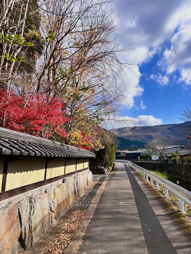 6天玩遍日本 超詳細攻略來襲