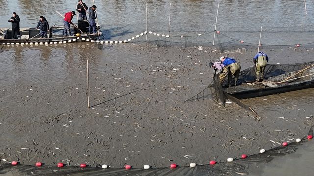 第十屆神奇高郵湖乾塘旅遊節