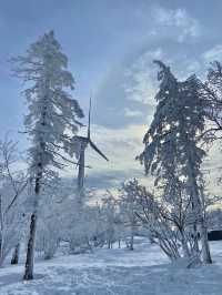 雪鄉等地新體驗：邊賞雪邊泡溫泉舒緩又愜意