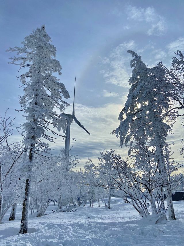 雪鄉等地新體驗：邊賞雪邊泡溫泉舒緩又愜意