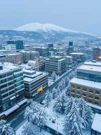 札幌，一座令人心醉的城市！