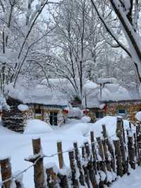 雪鄉十里畫廊 | 現實版冰雪奇緣，南方小土豆必衝！