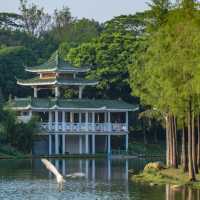 在深圳這座公園，找到了我的精神庇護區🍃