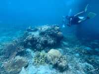 Pulau Tioman Salang Beach