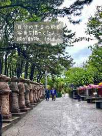 【釜山】"必ず願い事を1つ叶えてくれる"事で有名な 竜宮城のような『海東龍宮寺』 