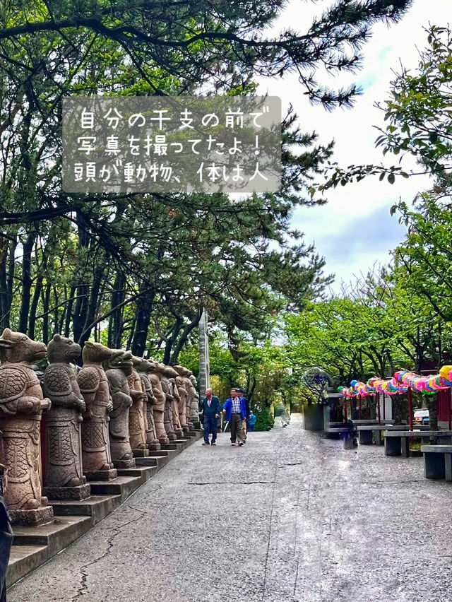 【釜山】"必ず願い事を1つ叶えてくれる"事で有名な 竜宮城のような『海東龍宮寺』 