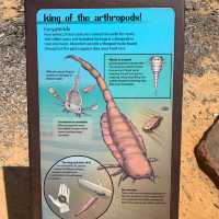 Awesome view - Kalbarri National Park and Sky Bridge 