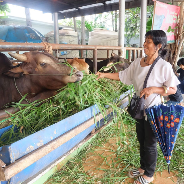 วัดสมานรัตนาราม ขอพรพระพิฆเนศใกล้กรุงเทพ