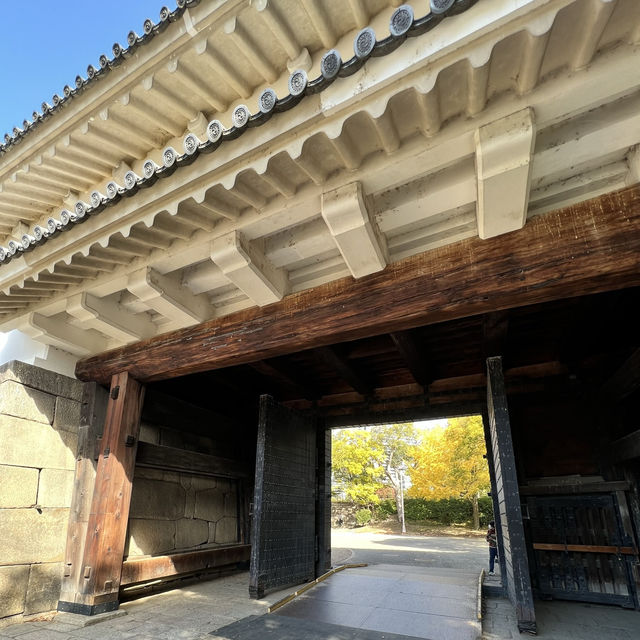 Osaka Castle 🇯🇵 Japan