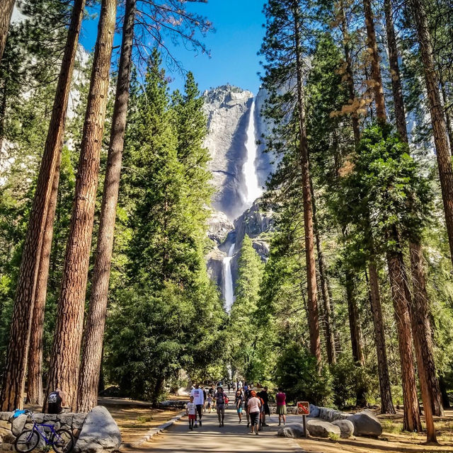 YOSEMITE NATIONAL PARK