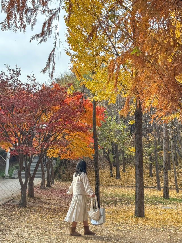 산책하기 좋은 공원 ‘서울숲’