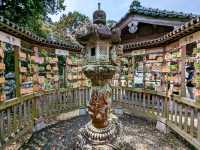 九州武雄神社：賞櫻花、看神木的人氣No.1免費景點