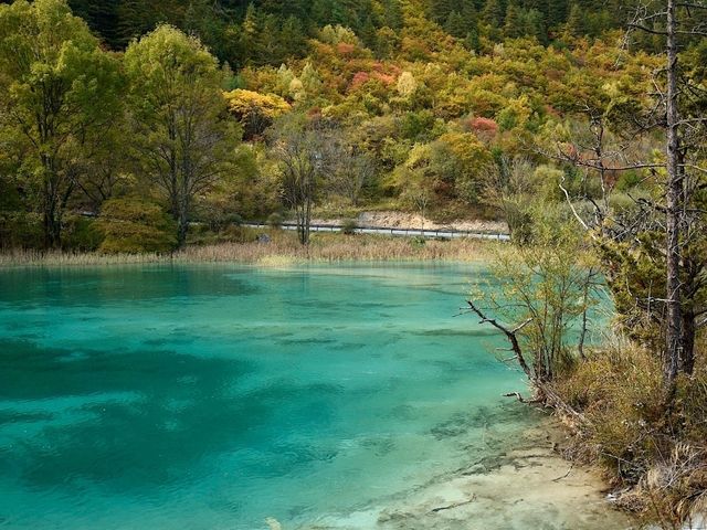 Huohuahai to Shuanglonghai [Must-visit places in Jiuzhai Valley National Park] 