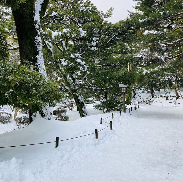 【金沢市🇯🇵兼六園】雪景色に包まれて☺️庭園散策