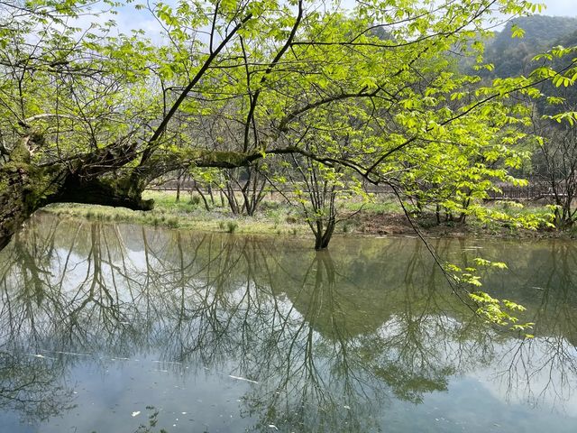 紹興五瀉風景區｜遊山玩水就在五瀉