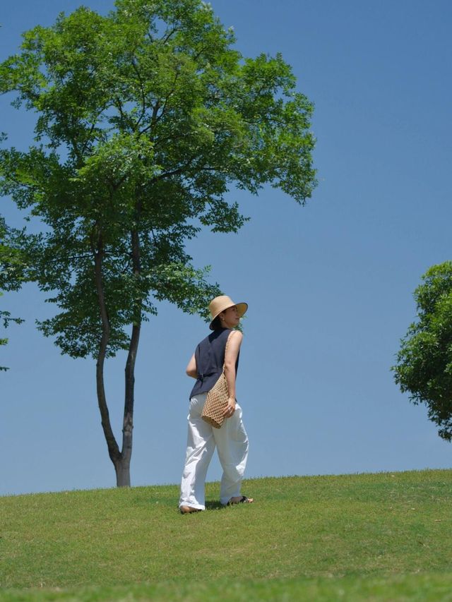 謝子龍新機位夏天的綠五分鐘拍了100張