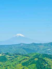 伊豆大室山｜日本抹茶山。