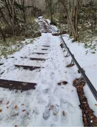 濟州島漢拿山登山徒步攻略 旅行搭子路線