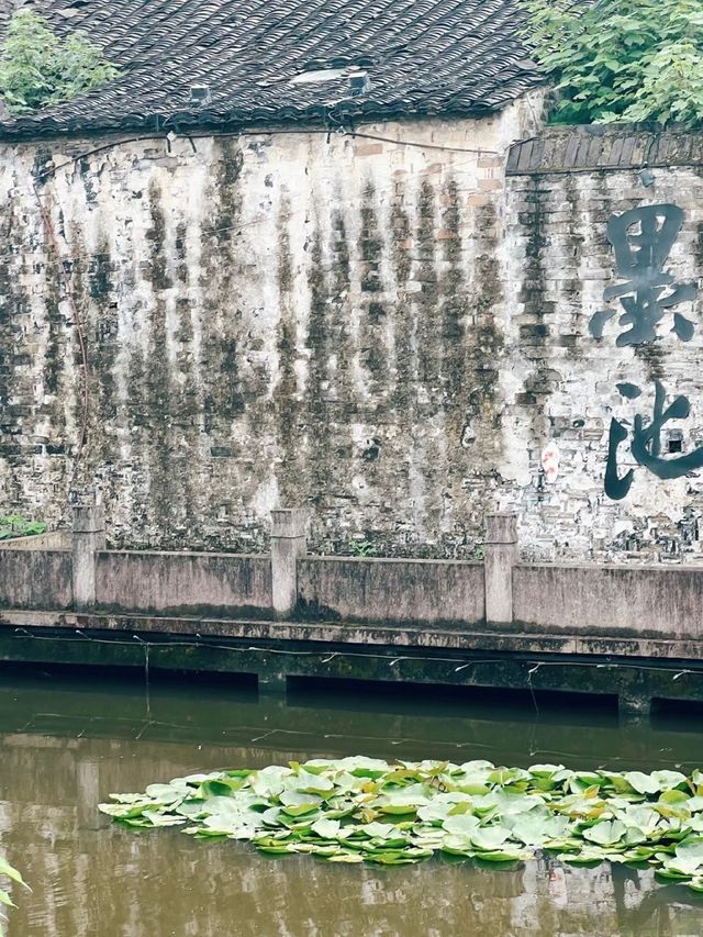 浙江低調歷史名城，歷史悠久，還有個免費5A景區