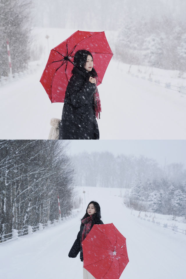 等一個十二月的奇蹟❄️北海道自由行