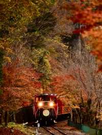 嵯峨野之旅：一場穿越山水的時光列車