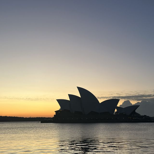 シドニーのアイコンといえばここ！オペラハウス🇦🇺