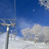 Trip to Niseko for the snow season!