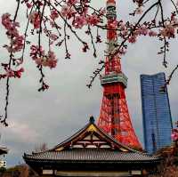 芝公園x 東京鐵塔