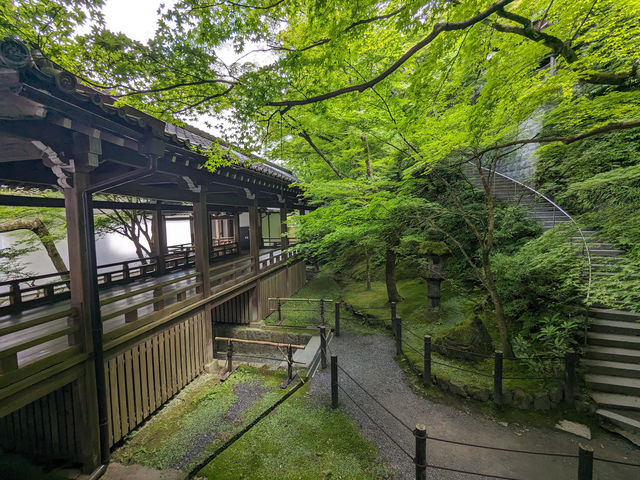 日本京都-古寺池水映秋色的賞楓名所：永觀堂