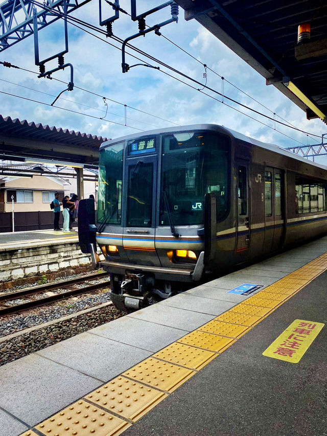 【京都】嵐山一日遊詳細行程：必搭小火車富貴號攻略分享